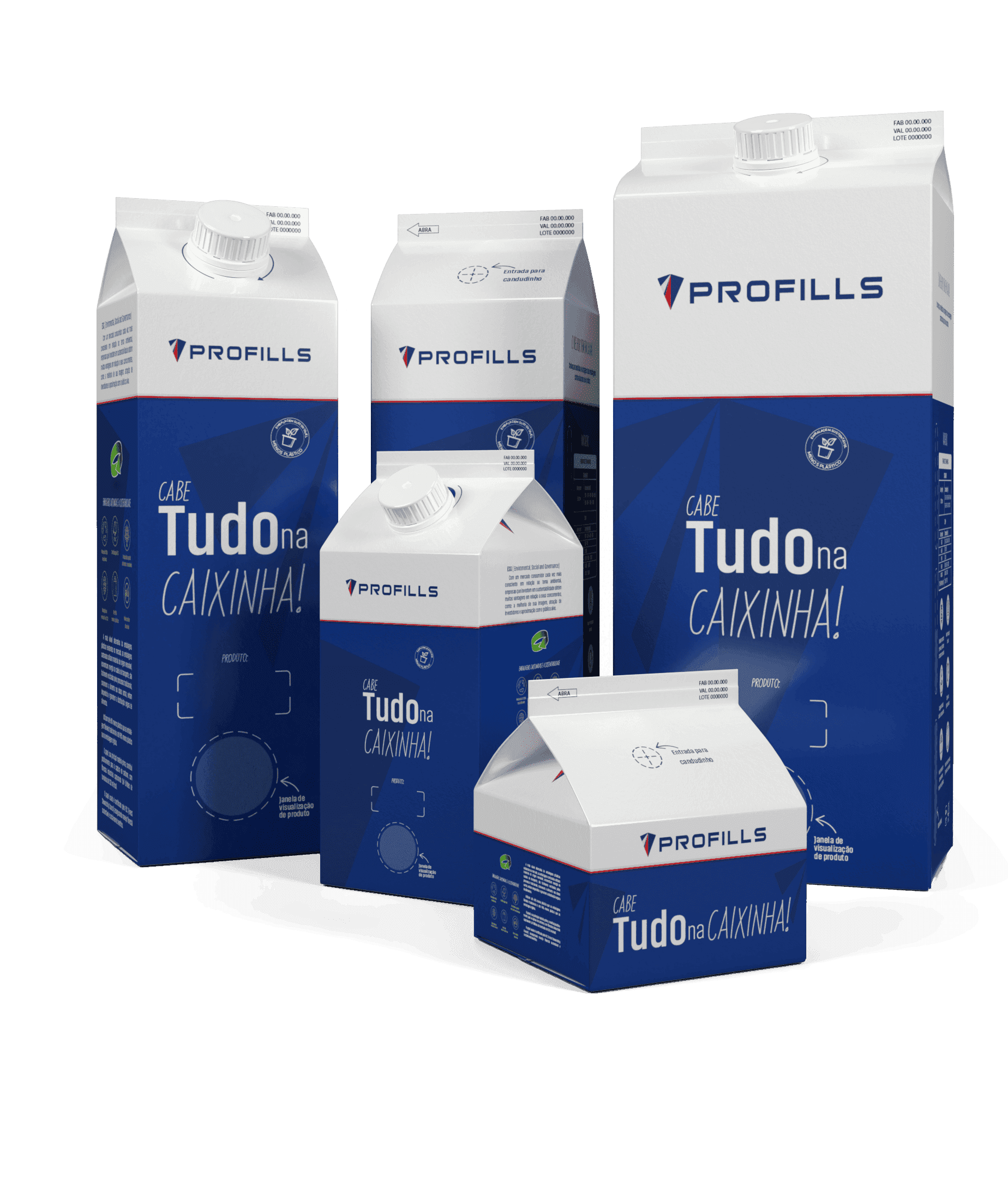 Embalagem Envasadora - Cartonada