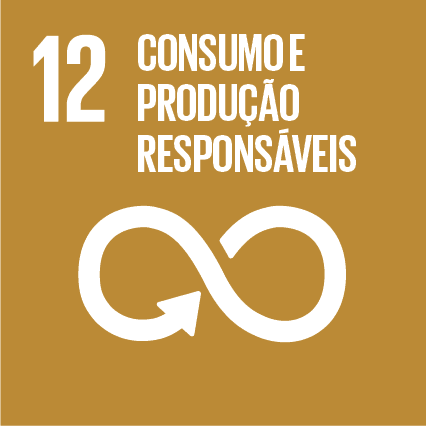 ODS 12
