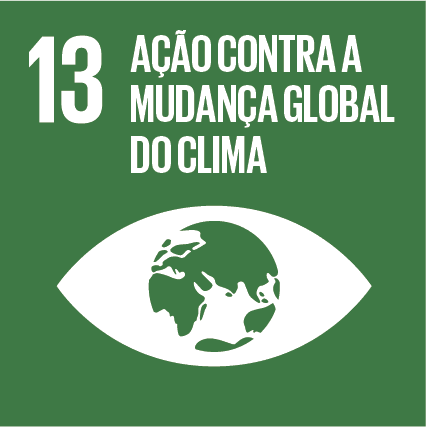 ODS 13
